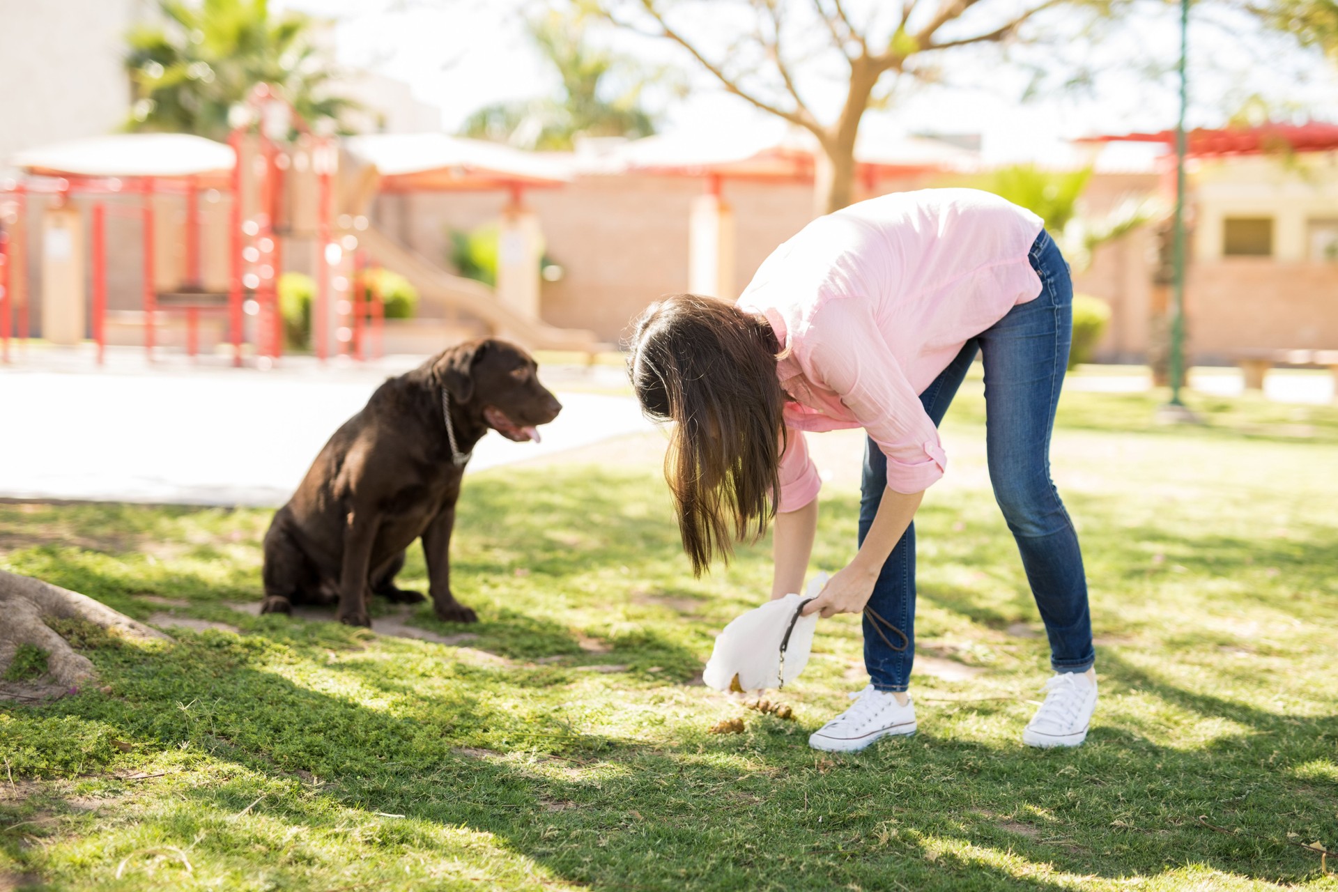 Dog owner picking up after her dog